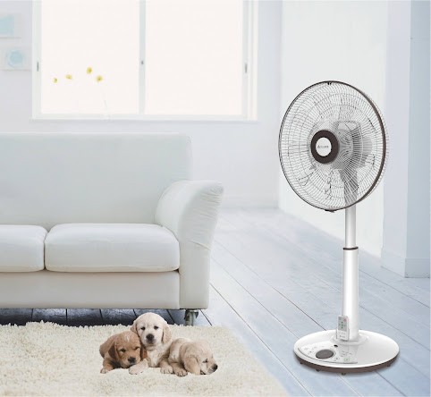 風扇這樣選，涼爽一夏天