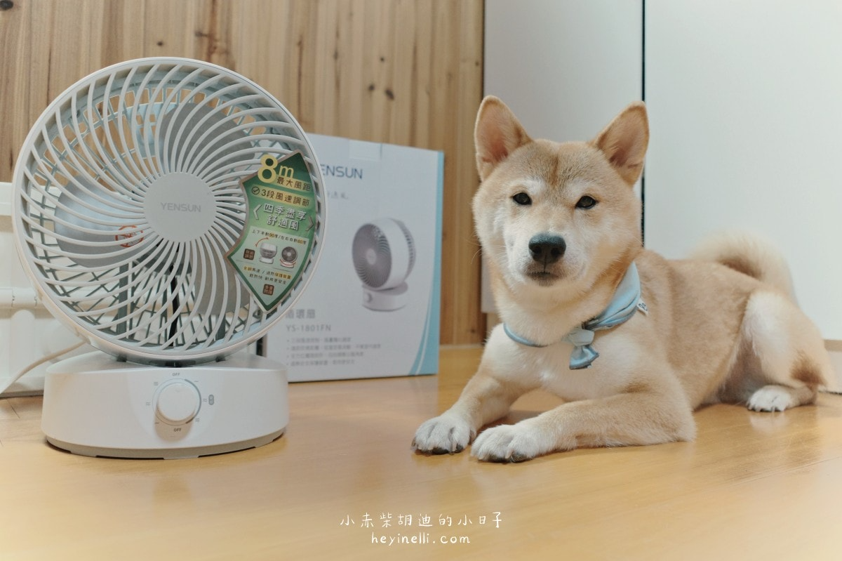 寵物家庭必備×美型循環扇推薦!白色簡約多功能空氣循環扇|元山家電循環扇YS-1801FN開箱 240510 元山家電循環扇 14